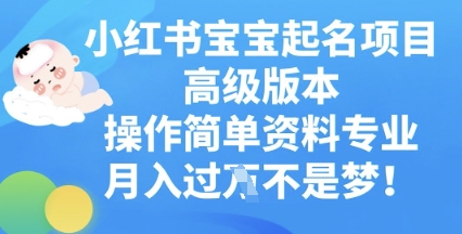 小红书宝宝起名项目高级版本，操作简单，资料专业，月入过W-副业网
