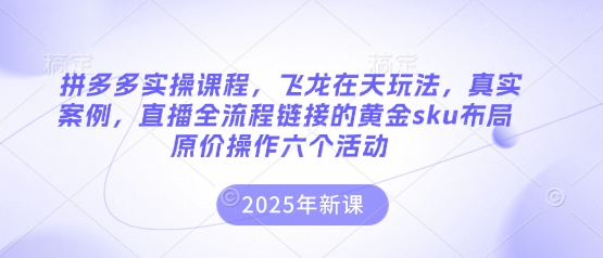 拼多多实操课程，飞龙在天玩法，真实案例，直播全流程链接的黄金sku布局原价操作六个活动-副业网