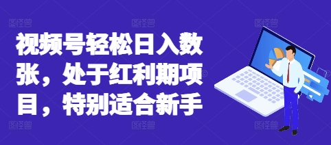 视频号轻松日入数张，处于红利期项目，特别适合新手-副业网