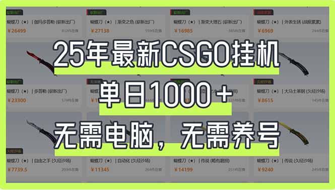（14178期）25年最新CSGO挂机系统，单日1000+，无需电脑，无需养号，0基础可上手-副业网