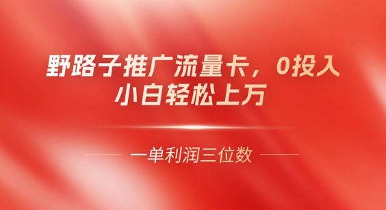 0门槛推广流量卡，一单收益上百，0投入，小白月入过W-副业网