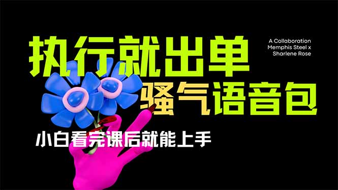 （14170期）爆火全网的开车导航骚气语音包,只要执行就出单，小白看完课程就能实操...-副业网
