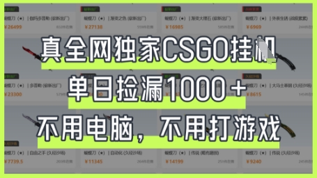 真全网独家CSGO挂G，单日捡漏1k+【揭秘】-副业网