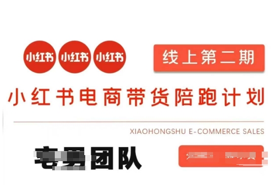 小红书电商带货课2期,月利润20个的小红书电商的有货源,无货源,虚拟产品,付费投流等整套玩法-副业网